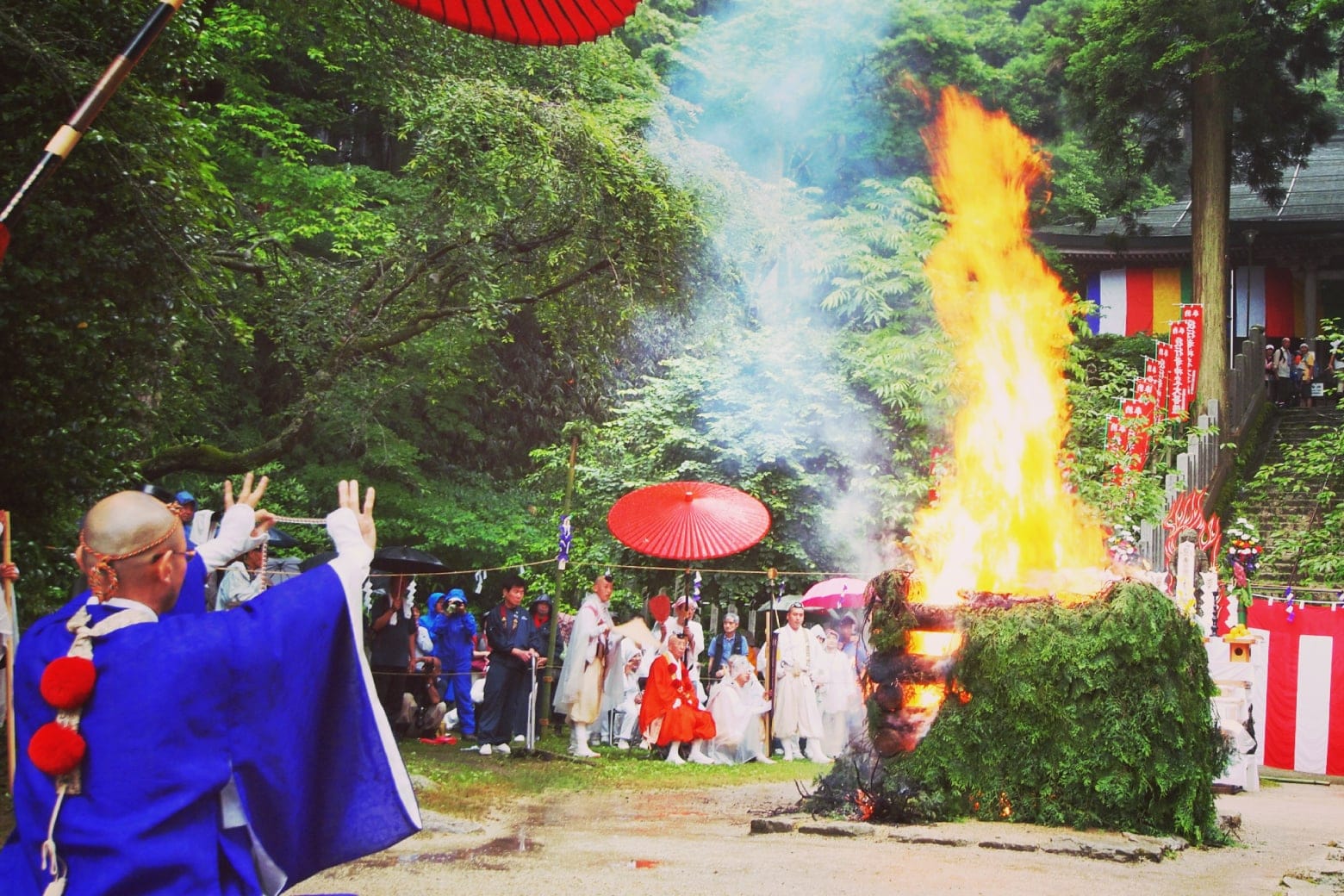 金剛山転法輪寺のれんげ大祭