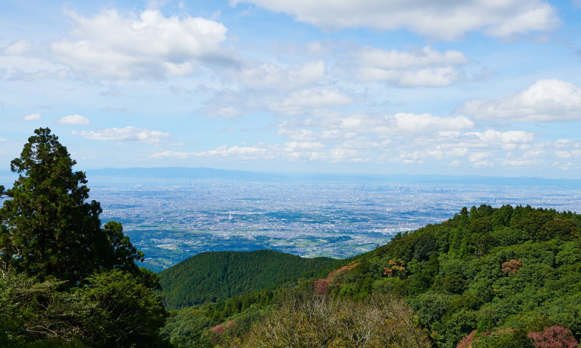 金剛山 山頂