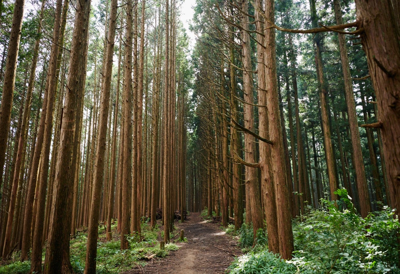 金剛山