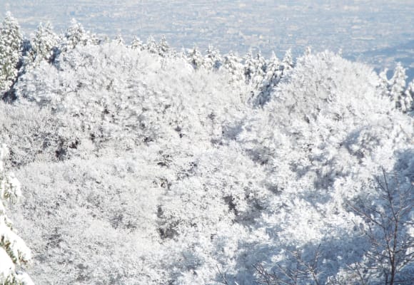 金剛山の樹氷