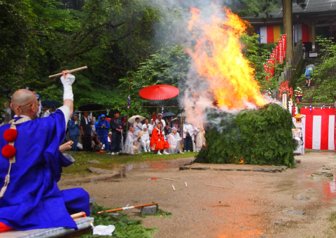 れんげ大祭